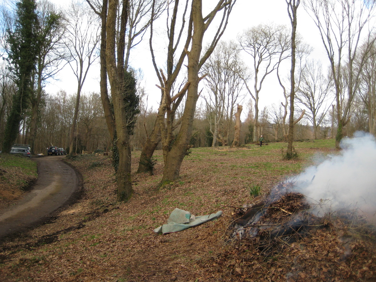 4 March after logs were taken away for recycling